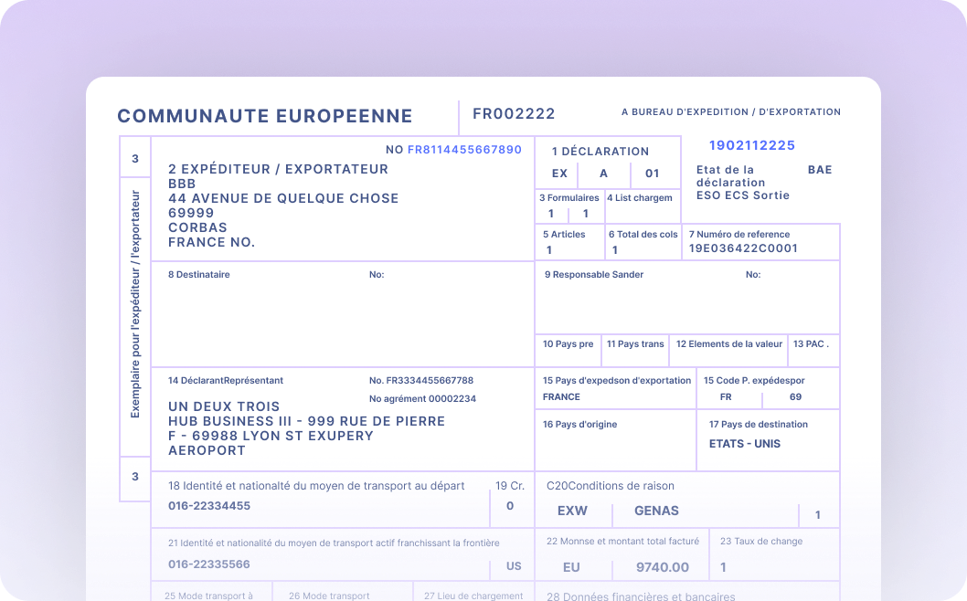 Automate Data Extraction from Customs Declarations